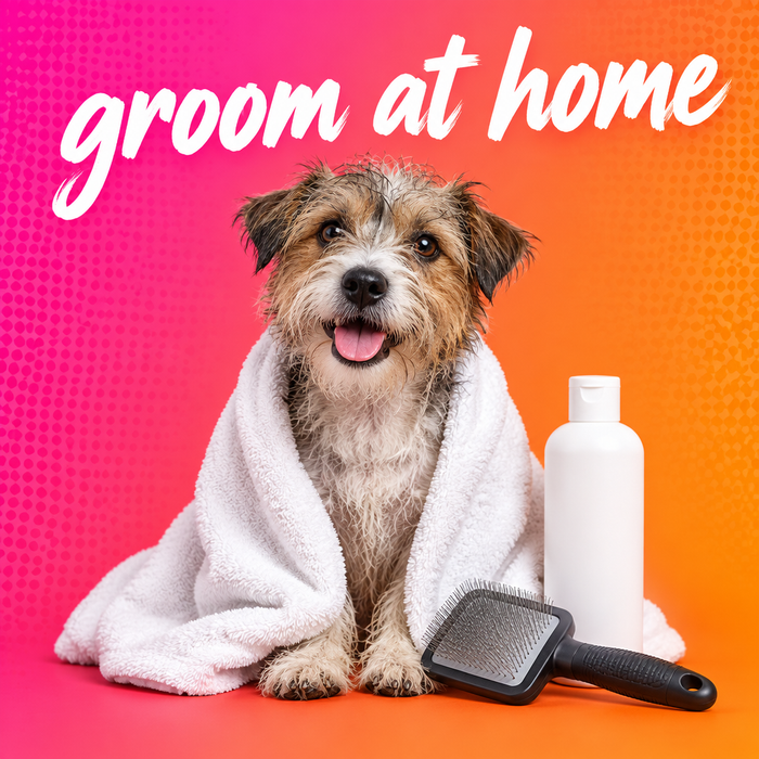 Grooming & Health