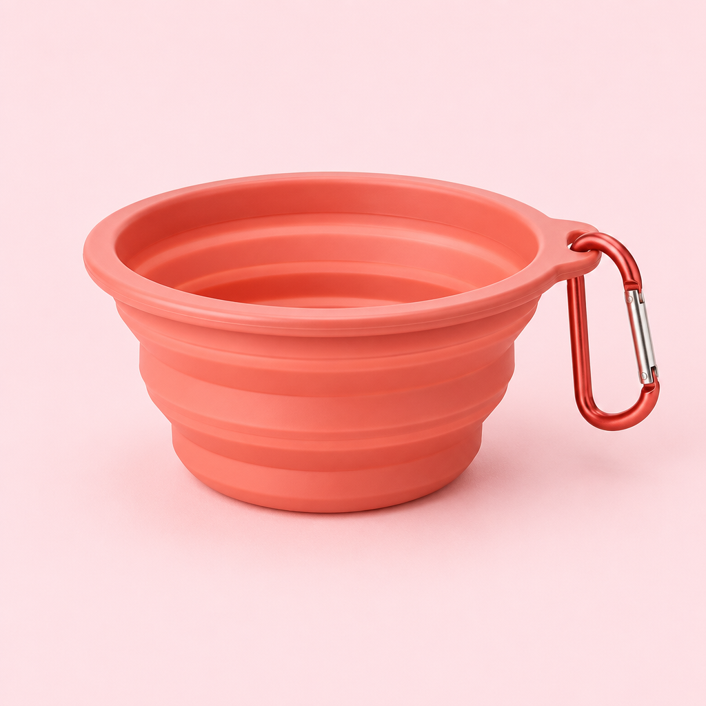 Collapsible Travel Bowl