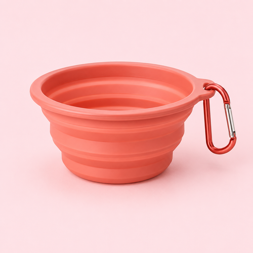 Collapsible Travel Bowl