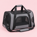 Travel Carrier Bag